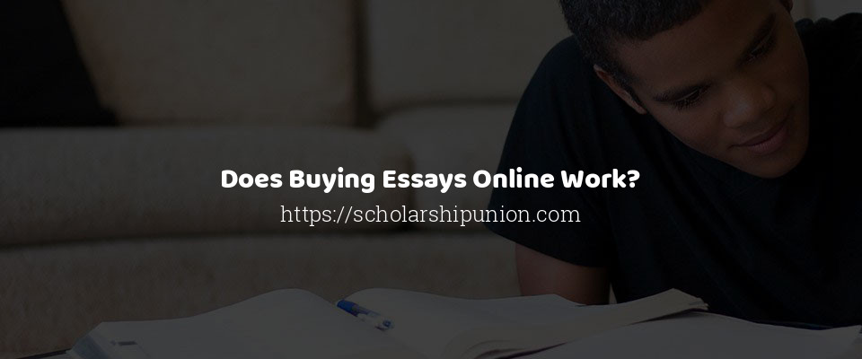 Feature image for Does Buying Essays Online Work?
