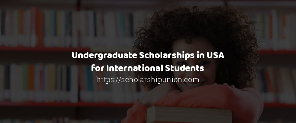 Feature image for Undergraduate Scholarships in USA for International Students