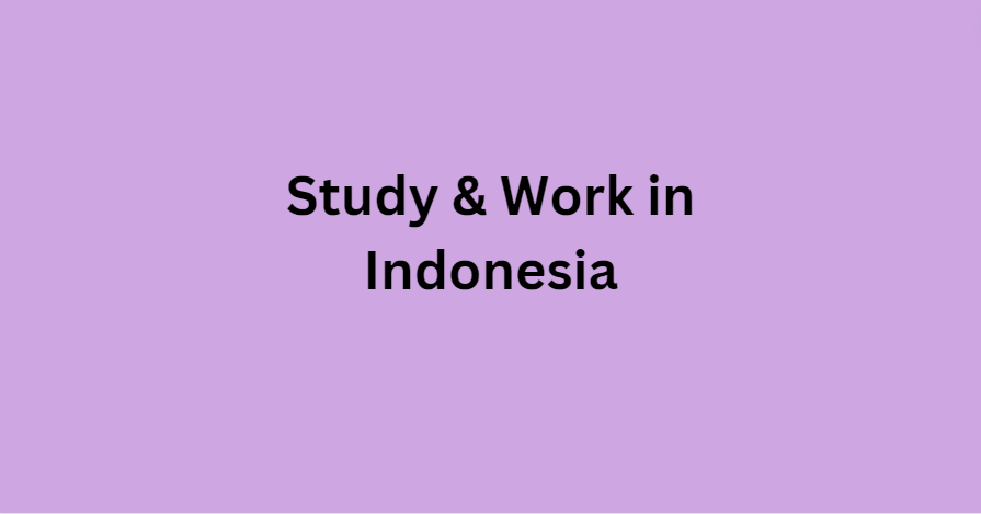 Feature image for Study & Work in Indonesia