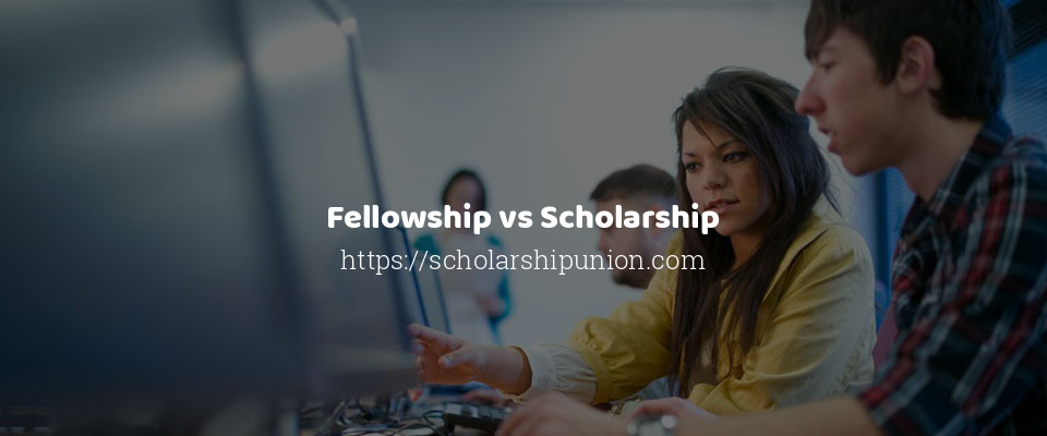 Feature image for Fellowship vs Scholarship