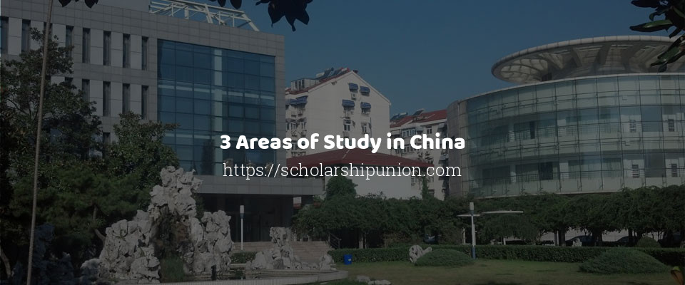 Feature image for 3 Areas of Study in China
