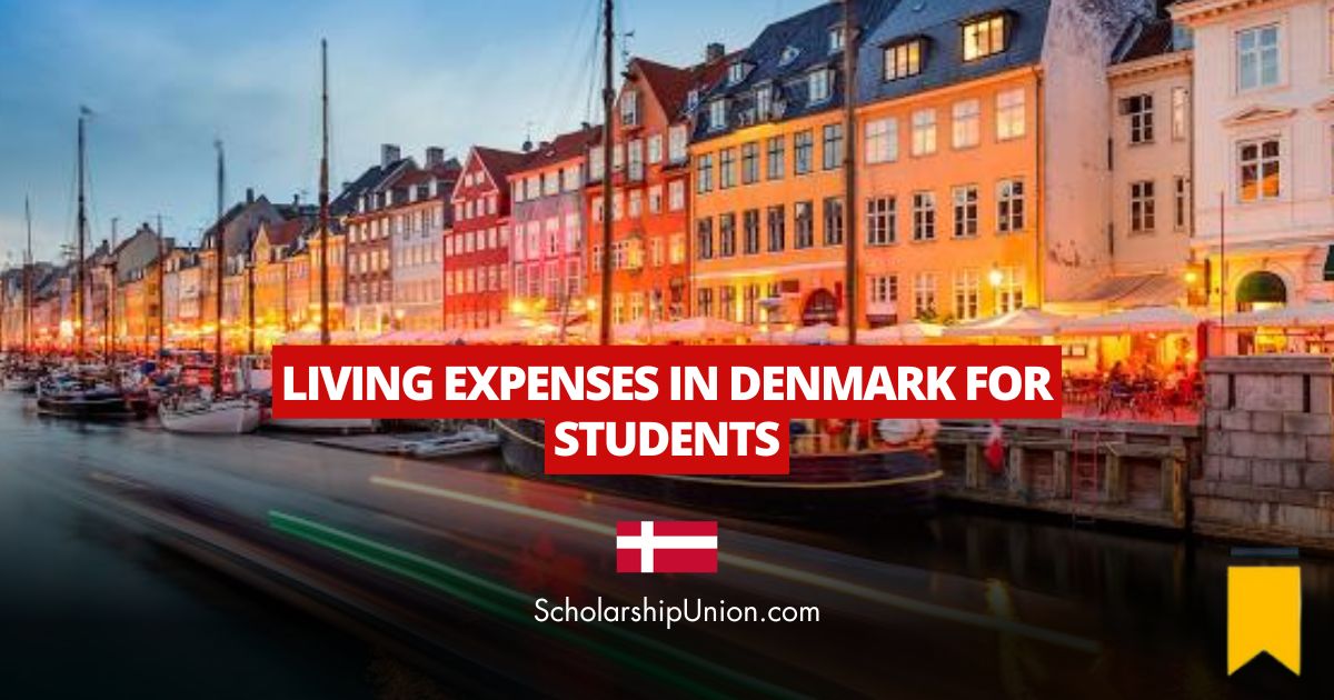 Feature image for Living Expenses in Denmark for Students