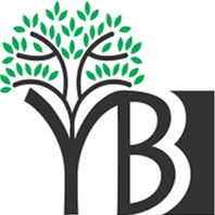 Logo of Youth Break the Boundaries Foundation