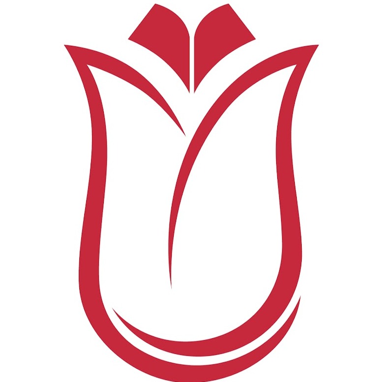 Logo of Turkiye Scholarships