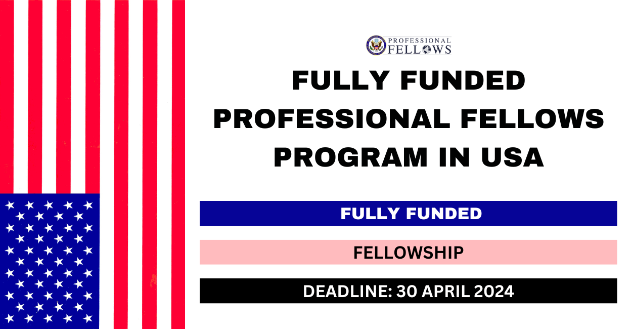 Feature image for Fully Funded Professional Fellows Program in USA 2024-25