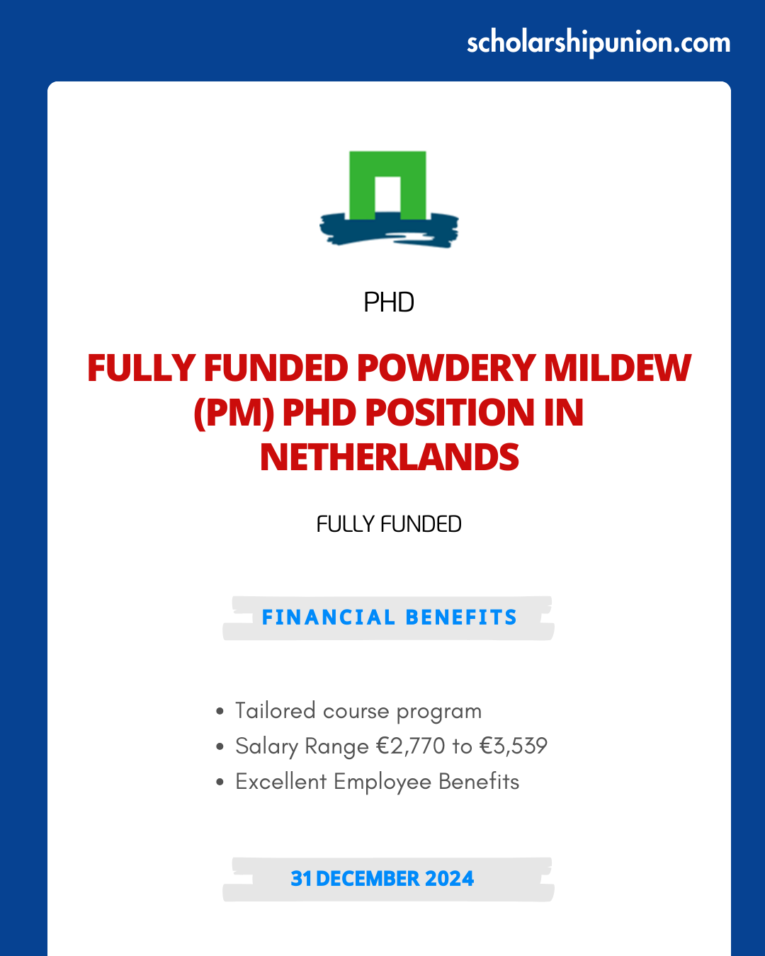 Feature image for Fully Funded Powdery Mildew (PM) PhD Position in Netherlands 2024-25
