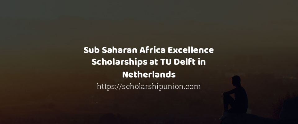 Feature image for Sub Saharan Africa Excellence Scholarships at TU Delft in Netherlands