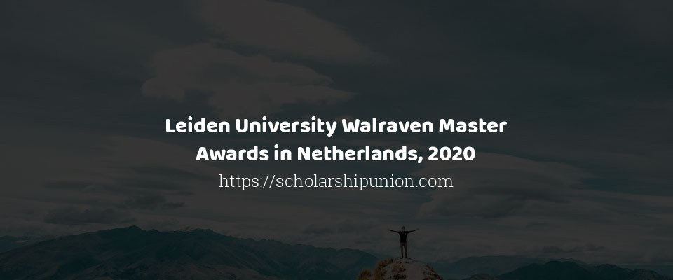 Feature image for Leiden University Walraven Master Awards in Netherlands, 2020