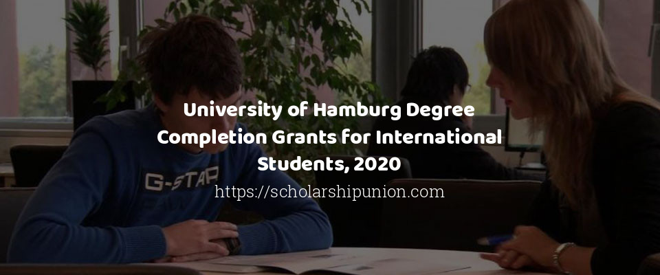 Feature image for University of Hamburg Degree Completion Grants for International Students, 2020