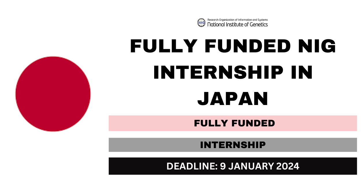 Feature image for Fully Funded NIG Internship in Japan 2024