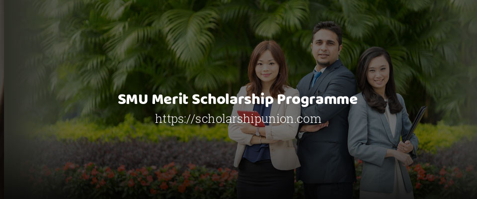 Feature image for SMU Merit Scholarship Programme