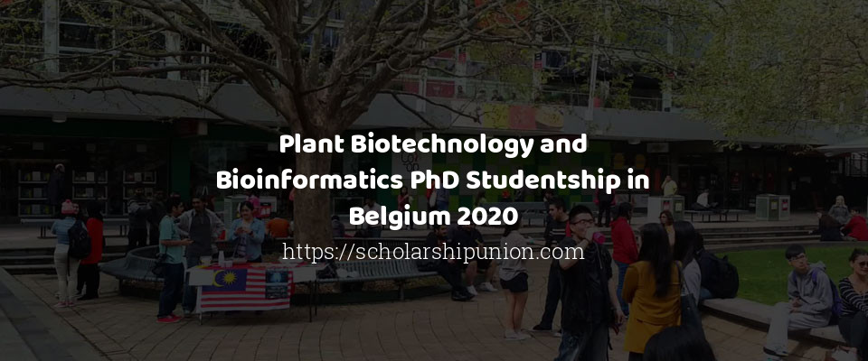 Feature image for Plant Biotechnology and Bioinformatics PhD Studentship in Belgium 2020