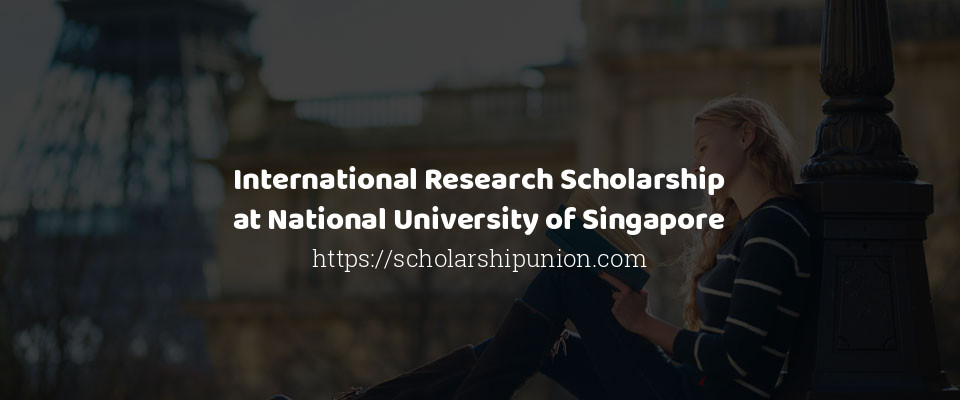 Feature image for International Research Scholarship at National University of Singapore