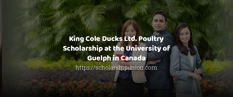Feature image for King Cole Ducks Ltd. Poultry Scholarship at the University of Guelph in Canada