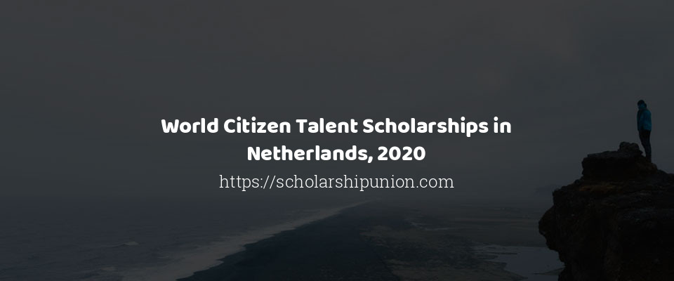 Feature image for World Citizen Talent Scholarships in Netherlands, 2020