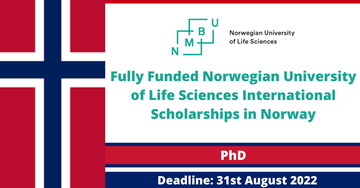 Feature image for Fully Funded Norwegian University of Life Sciences International Scholarships in Norway