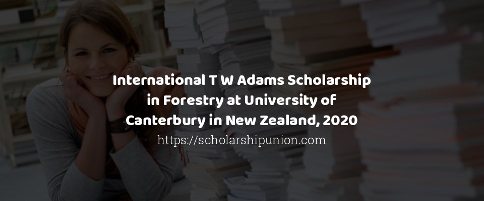 Feature image for International T W Adams Scholarship in Forestry at University of Canterbury in New Zealand, 2020
