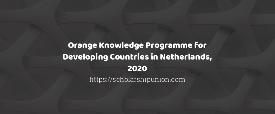 Feature image for Orange Knowledge Programme for Developing Countries in Netherlands, 2020
