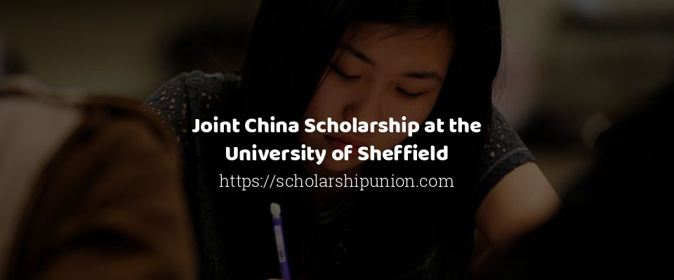 Feature image for Joint China Scholarship at the University of Sheffield