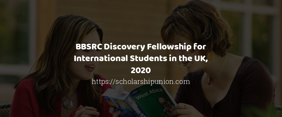 Feature image for BBSRC Discovery Fellowship for International Students in the UK 2020