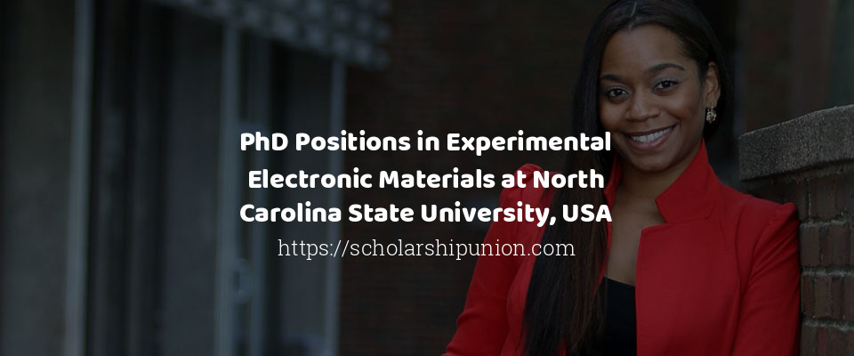 Feature image for PhD Positions in Experimental Electronic Materials at North Carolina State University, USA