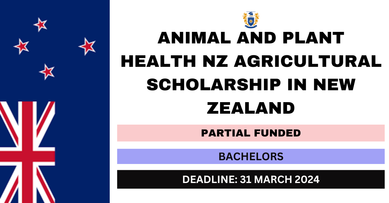 Feature image for Animal and Plant Health NZ Agricultural Scholarship in New Zealand 2024