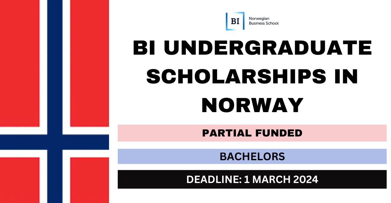 Feature image for BI Undergraduate Scholarships in Norway 2024-25