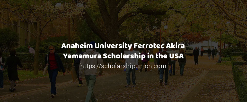 Feature image for Anaheim University Ferrotec Akira Yamamura Scholarship in the USA