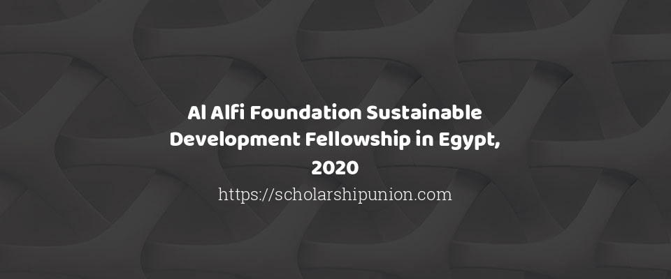 Feature image for Al Alfi Foundation Sustainable Development Fellowship in Egypt, 2020