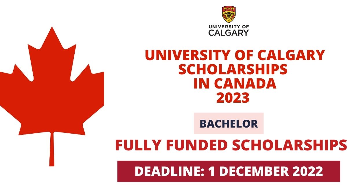 Feature image for Fully Funded Scholarships at University of Calgary in Canada 2023