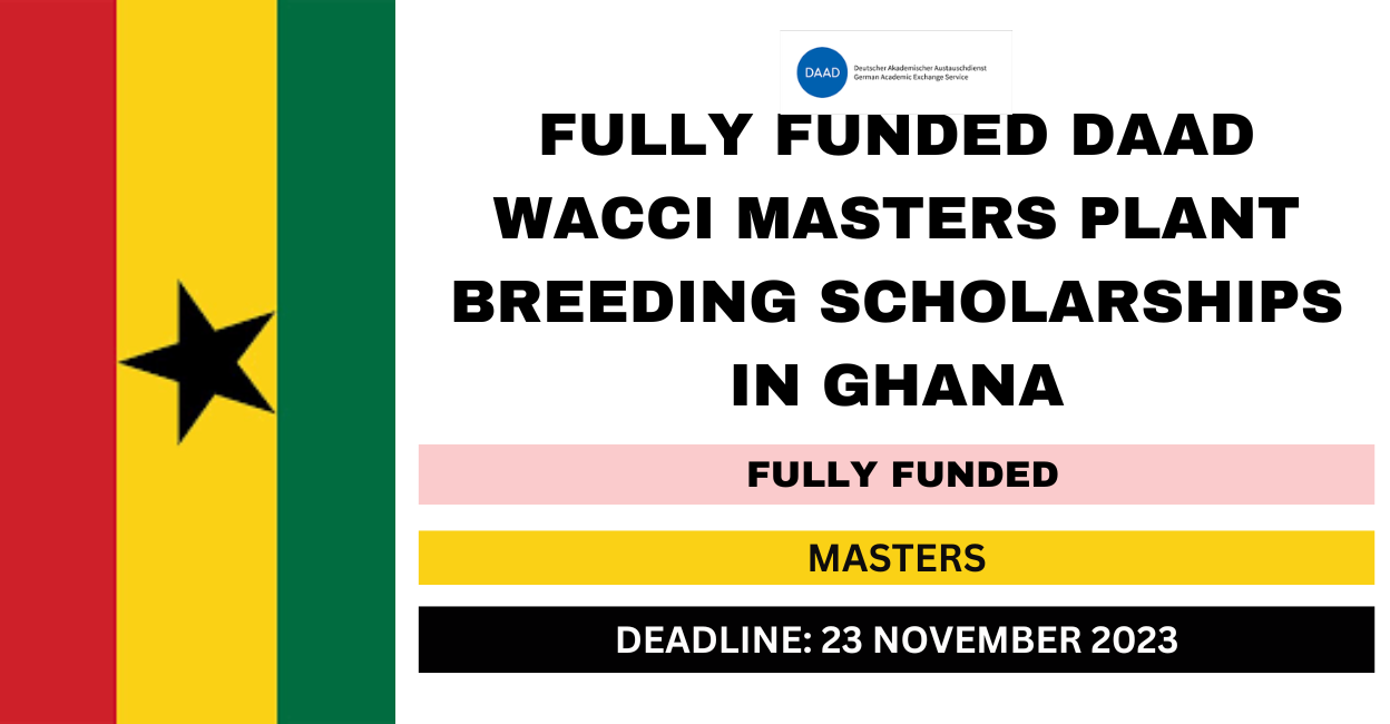 Feature image for Fully Funded DAAD WACCI Masters Plant Breeding Scholarships in Ghana 2024