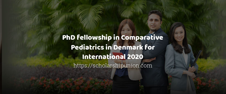 Feature image for PhD fellowship in Comparative Pediatrics in Denmark for International 2020
