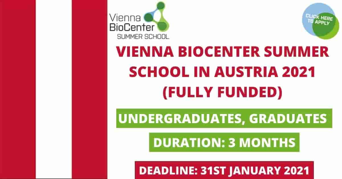 Feature image for Fully Funded Vienna Biocenter Summer School 2021 Austria