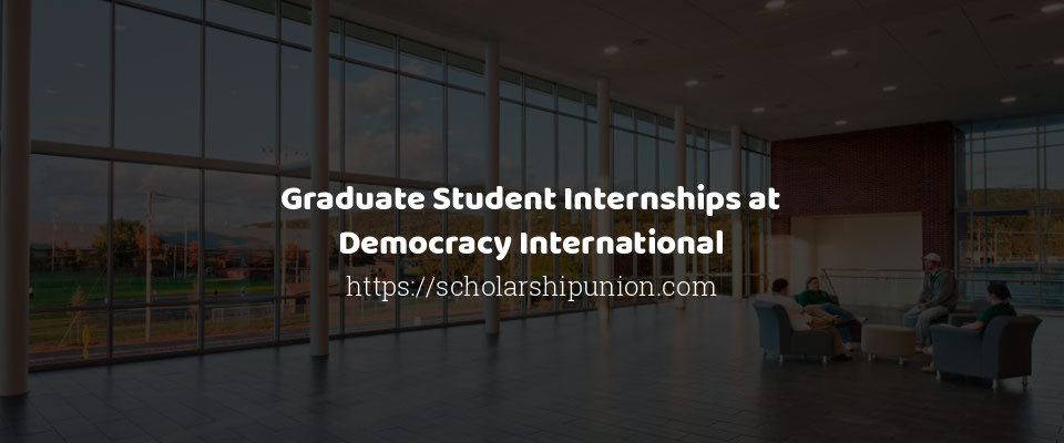 Feature image for Graduate Student Internships at Democracy International