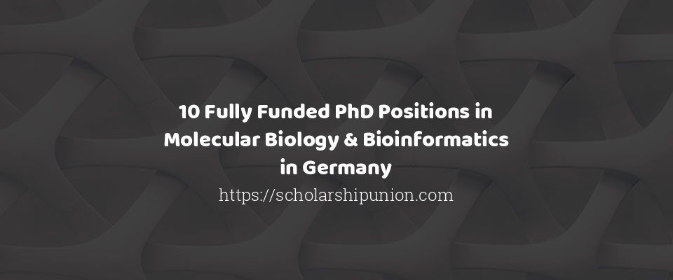 Feature image for 10 Fully Funded PhD Positions in Molecular Biology & Bioinformatics in Germany
