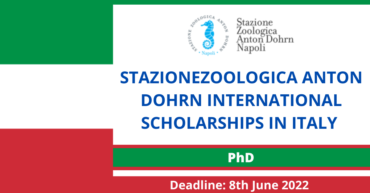 Feature image for StazioneZoologica Anton Dohrn International scholarships in Italy