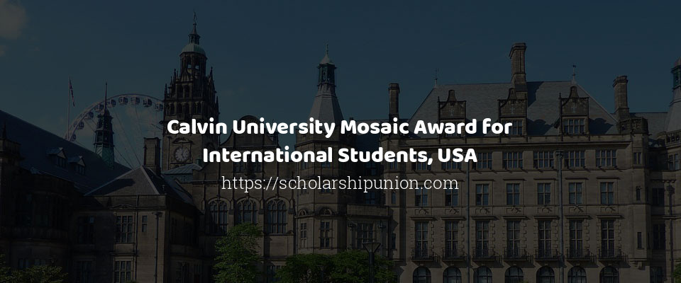 Feature image for Calvin University Mosaic Award for International Students, USA