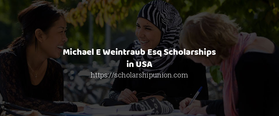 Feature image for Michael E Weintraub Esq Scholarships in USA