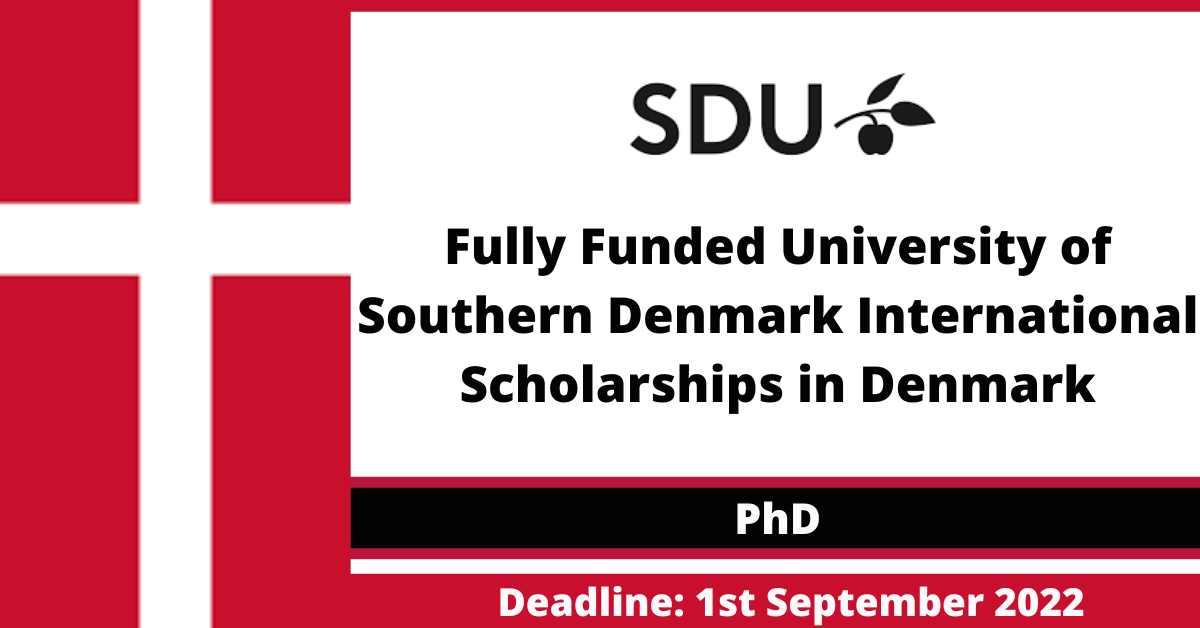 Feature image for Fully Funded University of Southern Denmark International Scholarships in Denmark