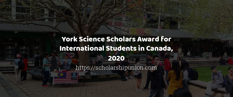 Feature image for York Science Scholars Award for International Students in Canada, 2020