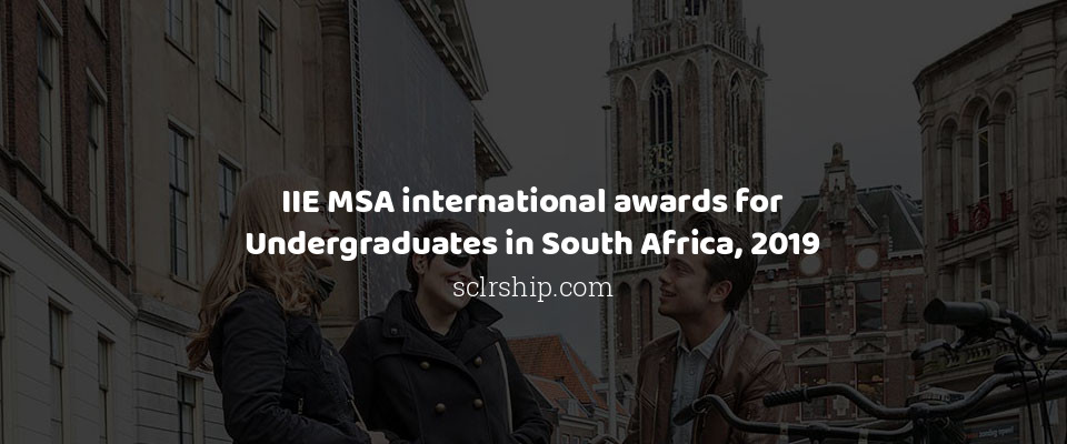 Feature image for IIE MSA international awards for Undergraduates in South Africa, 2019