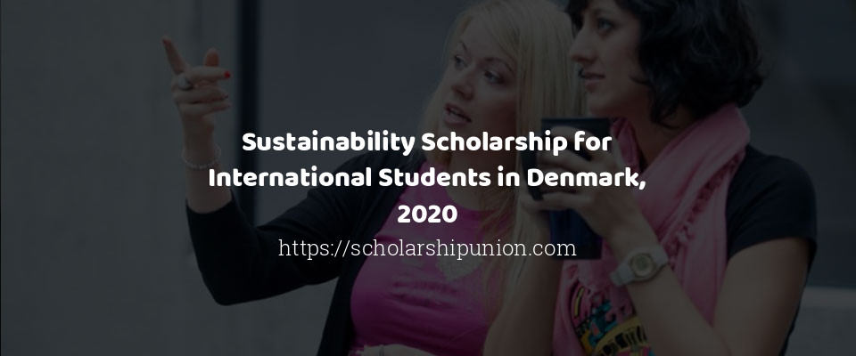 Feature image for Sustainability Scholarship for International Students in Denmark, 2020