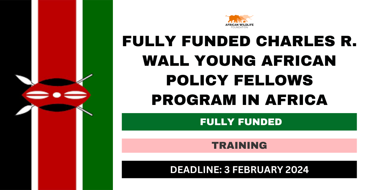 Feature image for Fully Funded Charles R. Wall Young African Policy Fellows Program in Africa