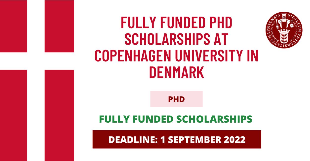 Feature image for Fully funded PhD Scholarships in Copenhagen University in Denmark