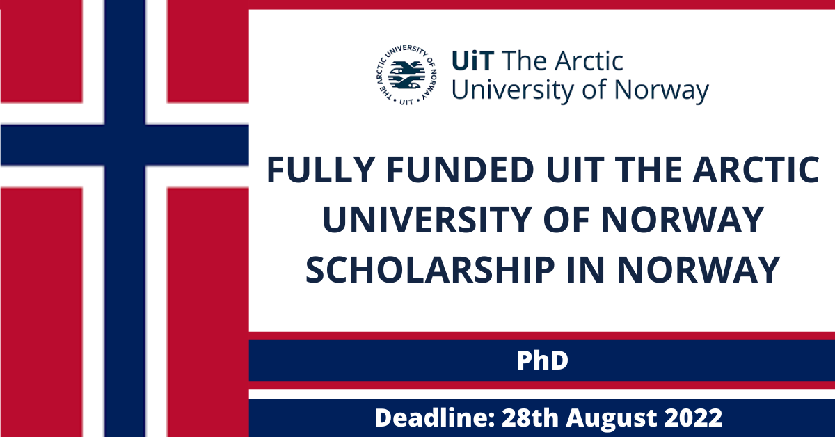 Feature image for Fully Funded UiT The Arctic University of Norway scholarship in Norway