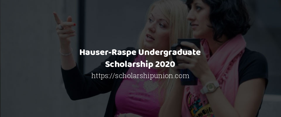 Feature image for Hauser-Raspe Undergraduate Scholarship 2020