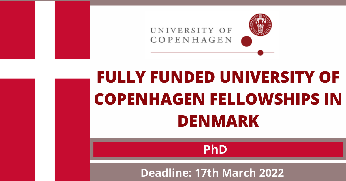 Feature image for Fully Funded University of Copenhagen Fellowships in Denmark