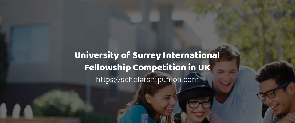 Feature image for University of Surrey International Fellowship Competition in UK