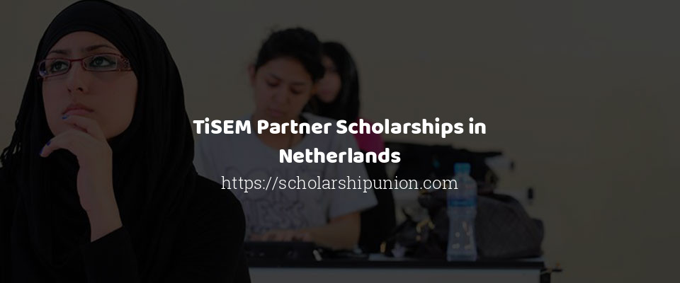 Feature image for TiSEM Partner Scholarships in Netherlands