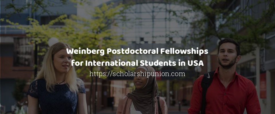 Feature image for Weinberg Postdoctoral Fellowships for International Students in USA